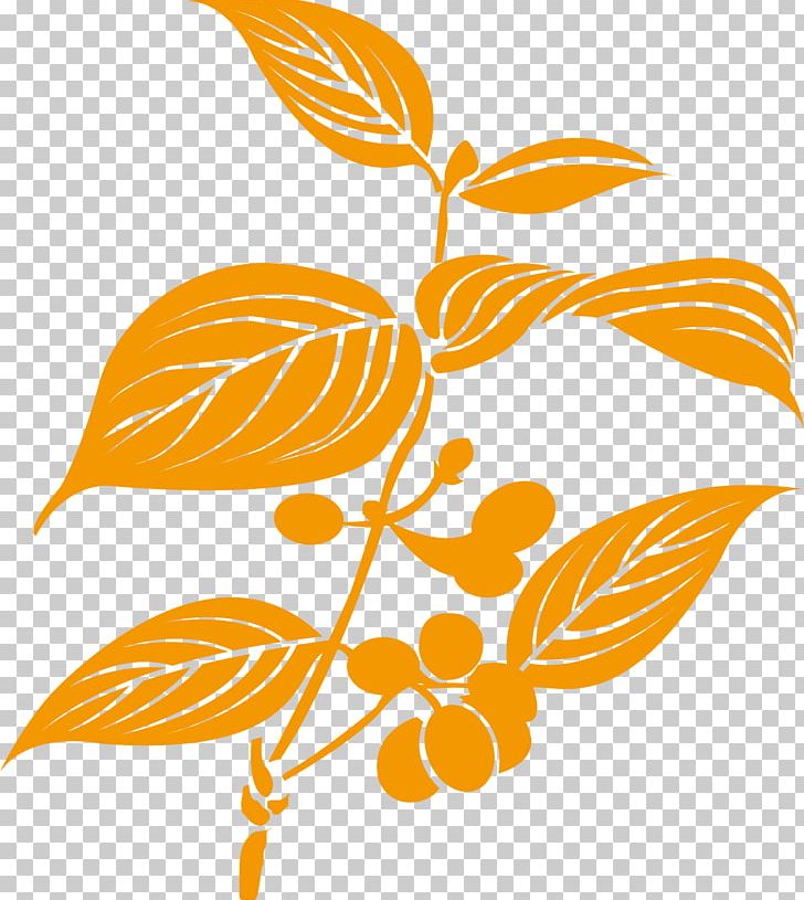 Medicinal Plants Traditional Chinese Medicine Chinese Herbology PNG, Clipart, Atmosphere, Botany, Branch, Chinese Herbal Medicine Logo, Chinese Style Free PNG Download