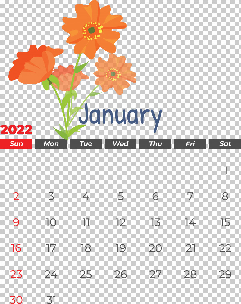 Flower Line Calendar Font Petal PNG, Clipart, Biology, Calendar, Flower, Geometry, Line Free PNG Download