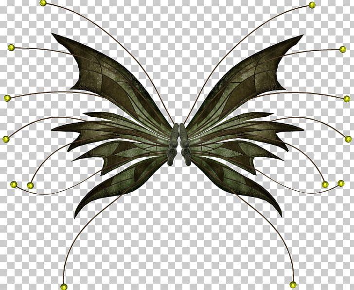Butterfly Photography Blog PNG, Clipart, Aile, Animal, Animation, Arthropod, Brush Footed Butterfly Free PNG Download