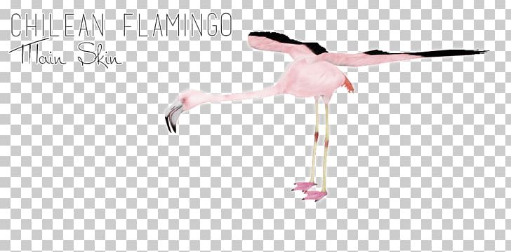 Line Beak Shoe PNG, Clipart, Arm, Beak, Bird, Chilean Flamingo, Flamingo Free PNG Download