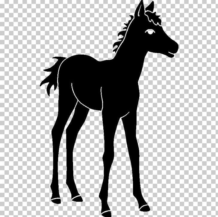Mule Foal Stallion Colt Mare PNG, Clipart, Bridle, Character, Colt, Fictional Character, Foal Free PNG Download