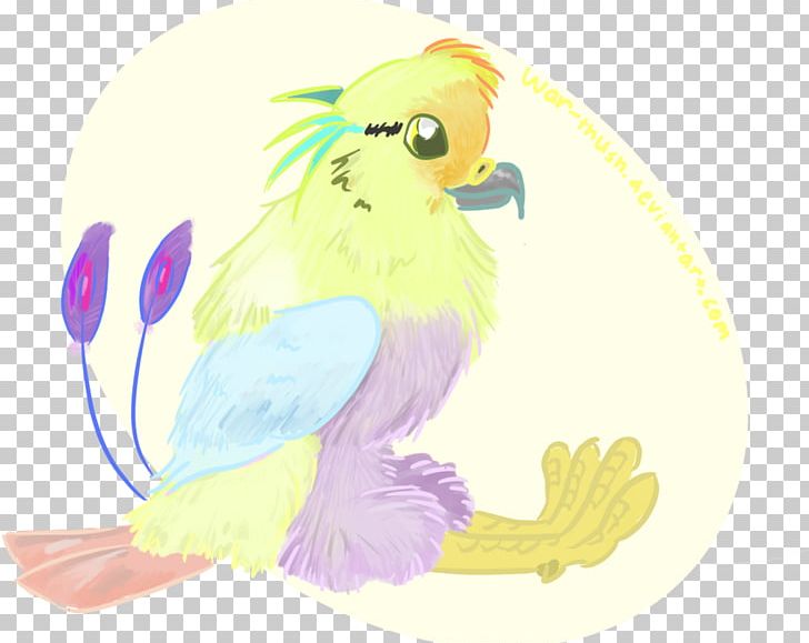Parrot Beak Feather Drawing PNG, Clipart, Animal, Animals, Art, Beak, Bird Free PNG Download