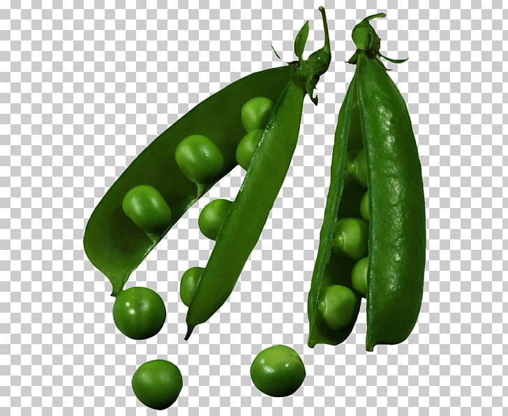 Pea Seed Raster Graphics PNG, Clipart, Bamboo Shoot, Bean, Broad Bean, Commodity, Common Bean Free PNG Download