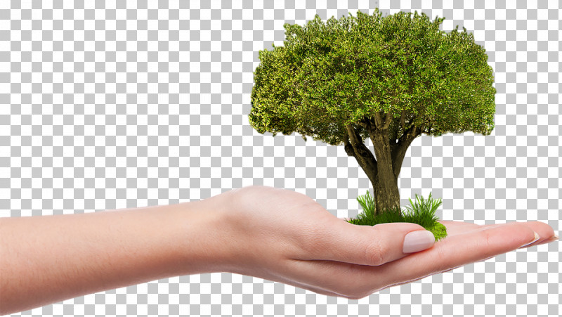 Arbor Day PNG, Clipart, Arbor Day, Flower, Flowerpot, Gesture, Grass Free PNG Download