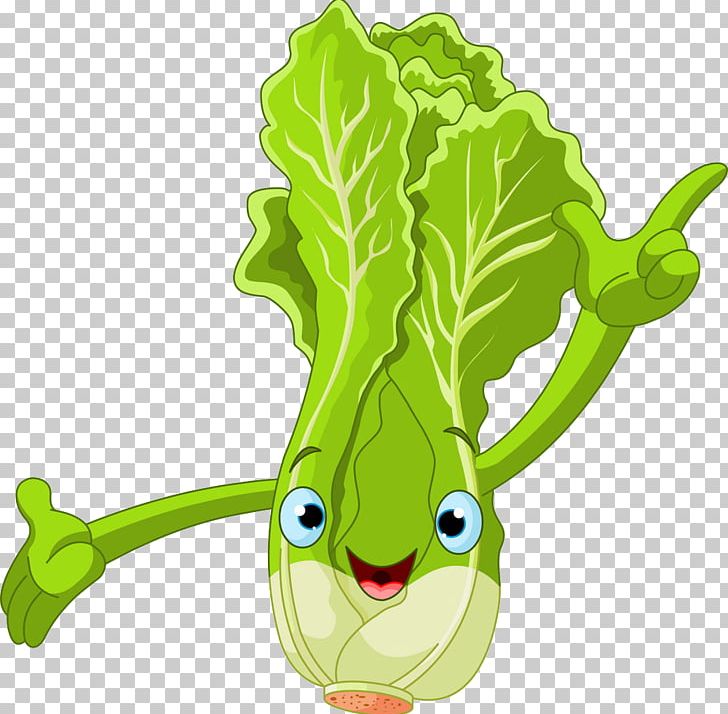 Lettuce Cartoon PNG, Clipart, Animation, Cabbage, Chinese, Chinese, Chinese Border Free PNG Download