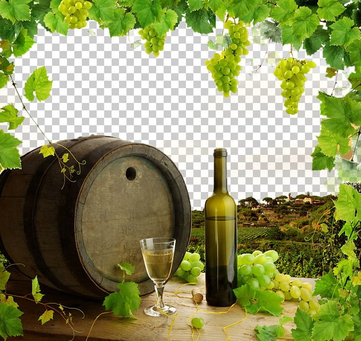 White Wine Common Grape Vine Stock Photography PNG, Clipart, Depositphotos, Drinkware, Estate, Estate Agent, Food Drinks Free PNG Download
