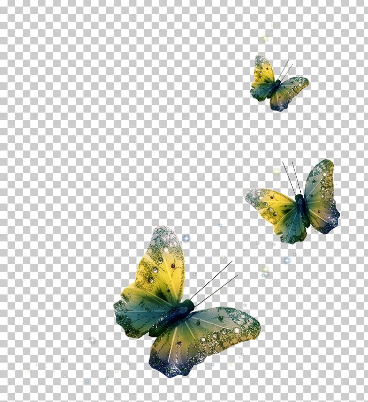 Portable Network Graphics Butterfly Psd Adobe Photoshop PNG, Clipart, Arthropod, Brush Footed Butterfly, Butterflies And Moths, Butterfly, Diagram Free PNG Download