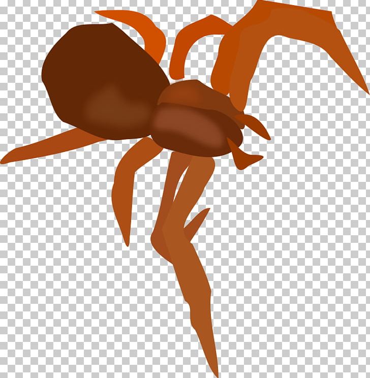 Spider PNG, Clipart, Arthropod, Balloon Cartoon, Boy Cartoon, Brown, Cartoon Free PNG Download