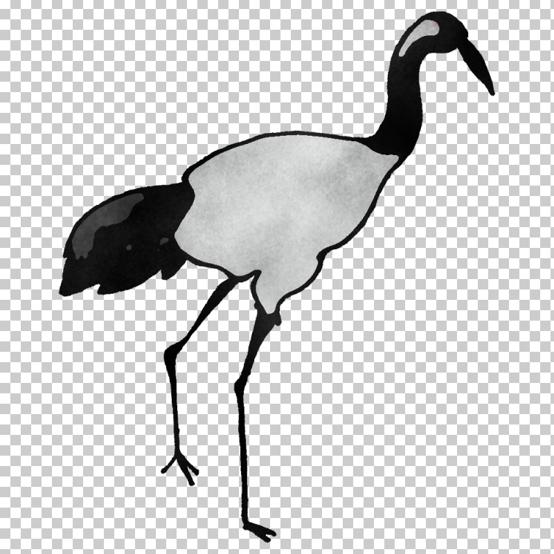 Crane Birds Blue Jay Ibis Owls PNG, Clipart, Barn Owl, Beak, Bird Of Prey, Birds, Blue Jay Free PNG Download
