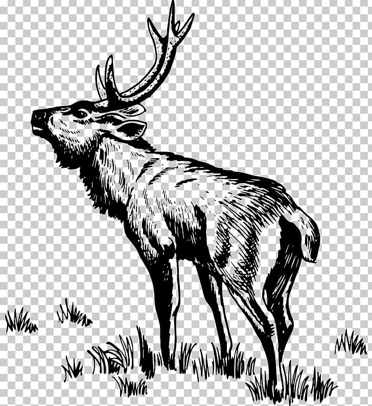 Reindeer Elk Moose PNG, Clipart, Antler, Art, Black And White, Cartoon, Cattle Like Mammal Free PNG Download