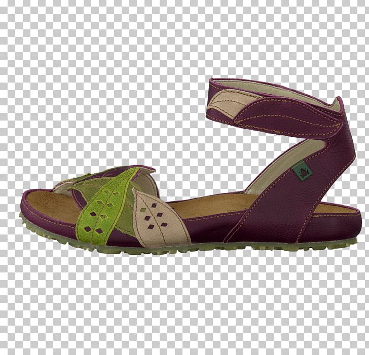 Slipper Sandal Purple Shoe Beige PNG, Clipart, Ballet Flat, Beige, Clothing, Court Shoe, Crocs Free PNG Download