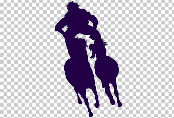 Equestrian Académie Du Spectacle équestre Pony Stallion Circus PNG, Clipart, Carpa, Cavalier, Circus, Equestrian, Horse Free PNG Download