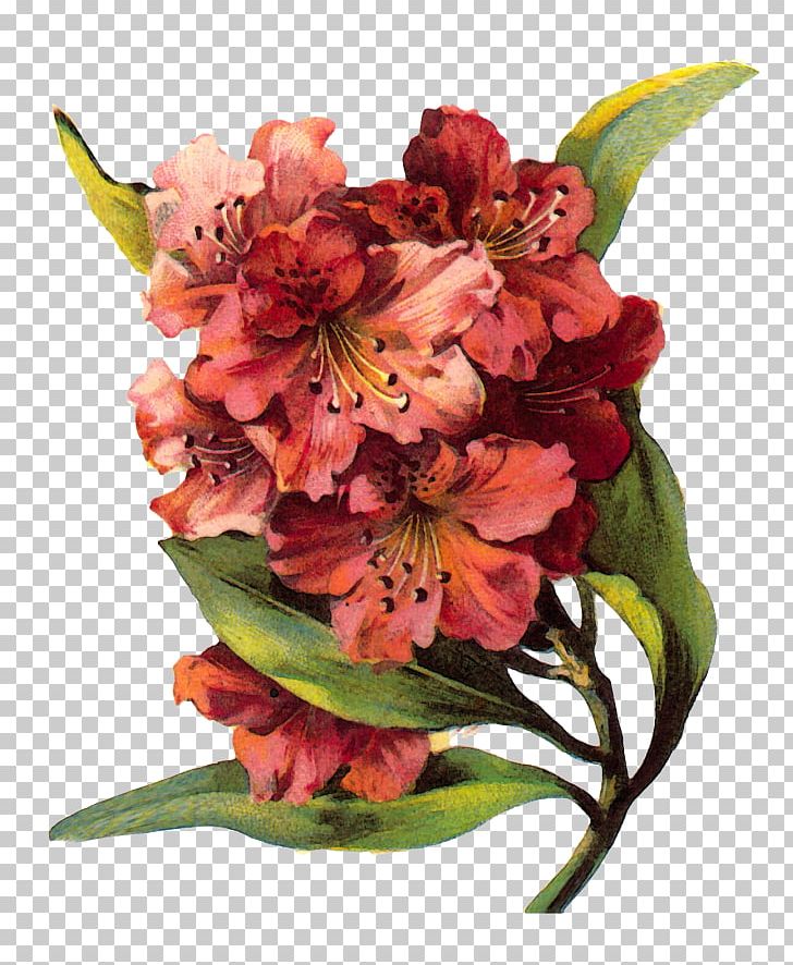 Floral Design Floral Ornament Flower Drawing PNG, Clipart, Alstroemeriaceae, Art, Art Nouveau, Cut Flowers, Drawing Free PNG Download