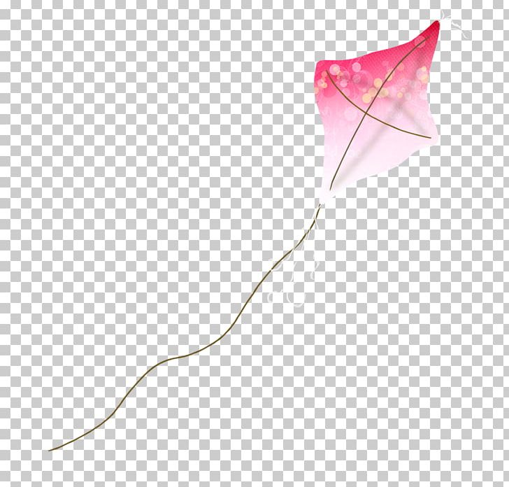 Product Design Pink M PNG, Clipart, Art, Flower, Kite, Petal, Pink Free PNG Download
