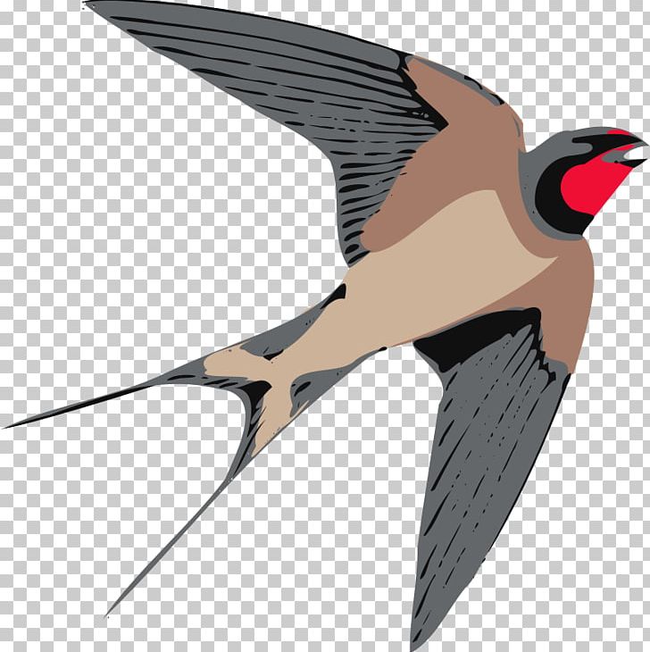 Swallow Bird PNG, Clipart, Barn Swallow, Beak, Bird, Blog, Cartoon Free PNG Download