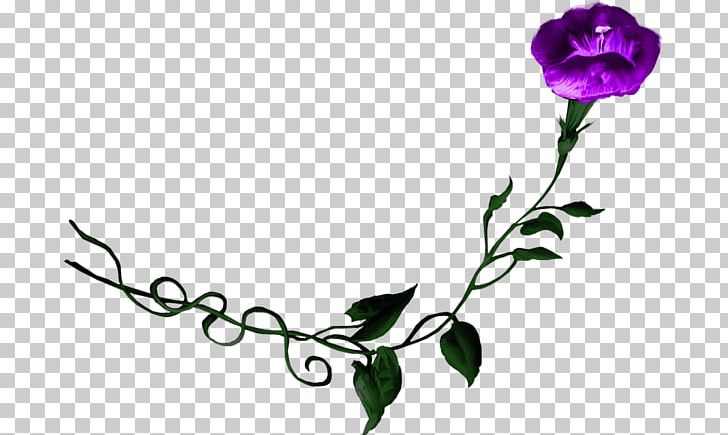 Floral Design Purple Flower Morning Glory Rose PNG, Clipart, Art, Artwork, Branch, Bud, Color Free PNG Download