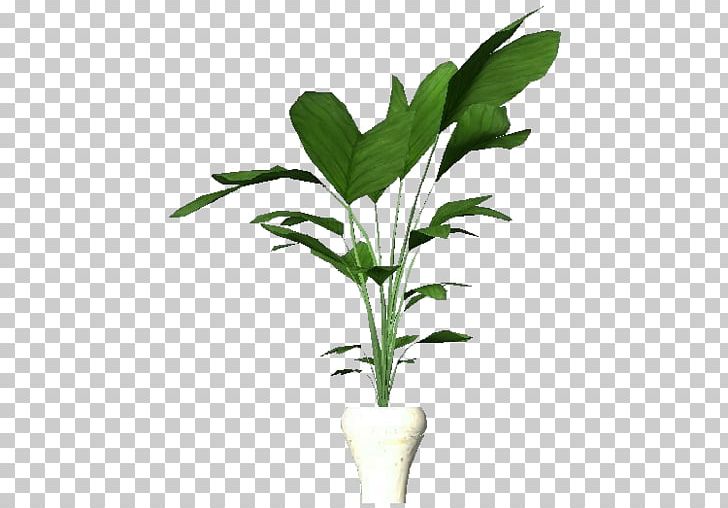 Plants Leaf Houseplant Product Project PNG, Clipart, Apartment, Computer Software, Cria, Flower, Flowerpot Free PNG Download