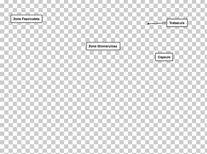 Screenshot Line Angle PNG, Clipart, Angle, Area, Brand, Diagram, Document Free PNG Download