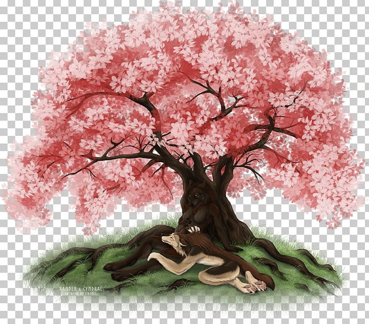 Cherry Blossom ST.AU.150 MIN.V.UNC.NR AD Houseplant PNG, Clipart, Art, Blossom, Cherry, Cherry Blossom, Cherrytree Free PNG Download