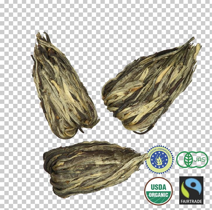 Hōjicha Commodity Fair Trade PNG, Clipart, Bancha, Commodity, Dianhong, Dry Tea, Fair Trade Free PNG Download