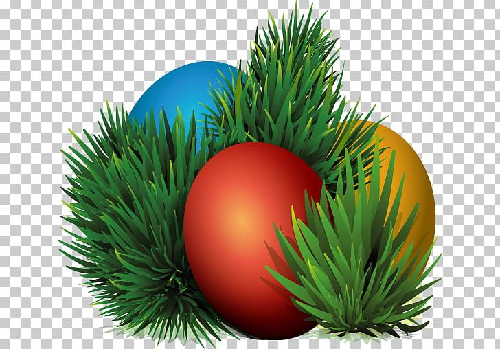 Nest PNG, Clipart, Christmas Decoration, Christmas Ornament, Color, Computer Graphics, Computer Icons Free PNG Download