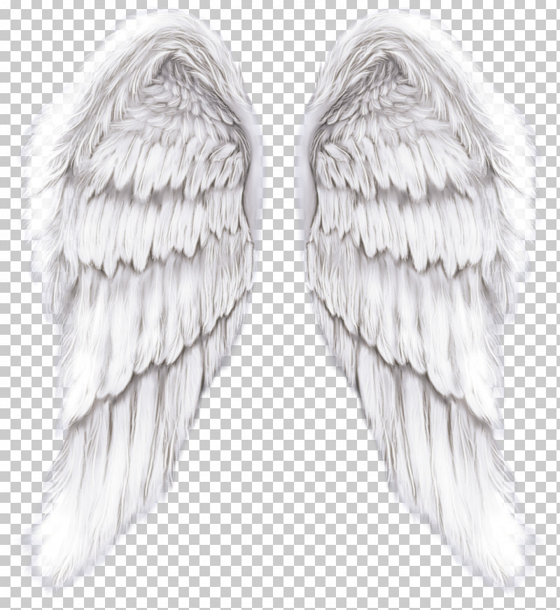 Feather PNG, Clipart, Angel, Earrings, Feather, White, Wing Free PNG Download