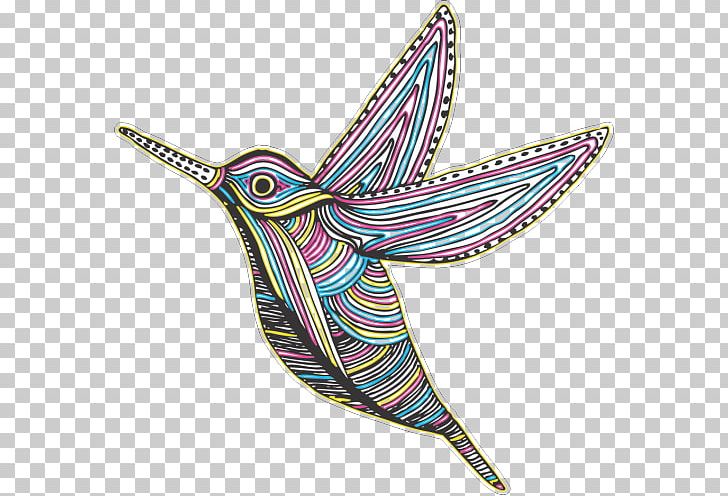 Hummingbird Graphics Colibri PNG, Clipart, Animal, Animals, Bird, Bird Fly, Cmyk Free PNG Download