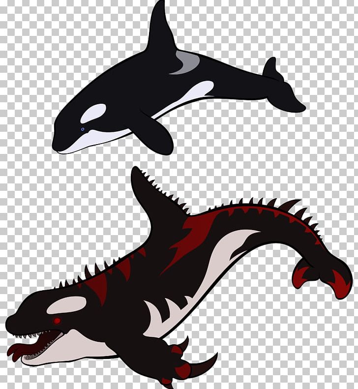 Killer Whale Shark Dolphin Cetacea PNG, Clipart, Animals, Bilberry, Cartilaginous Fish, Cetacea, Dolphin Free PNG Download