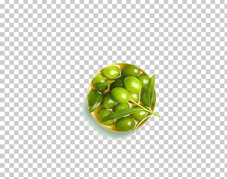Olive Google S Icon PNG, Clipart, Black Olive, Dish, Download, Euclidean Vector, Filled Free PNG Download