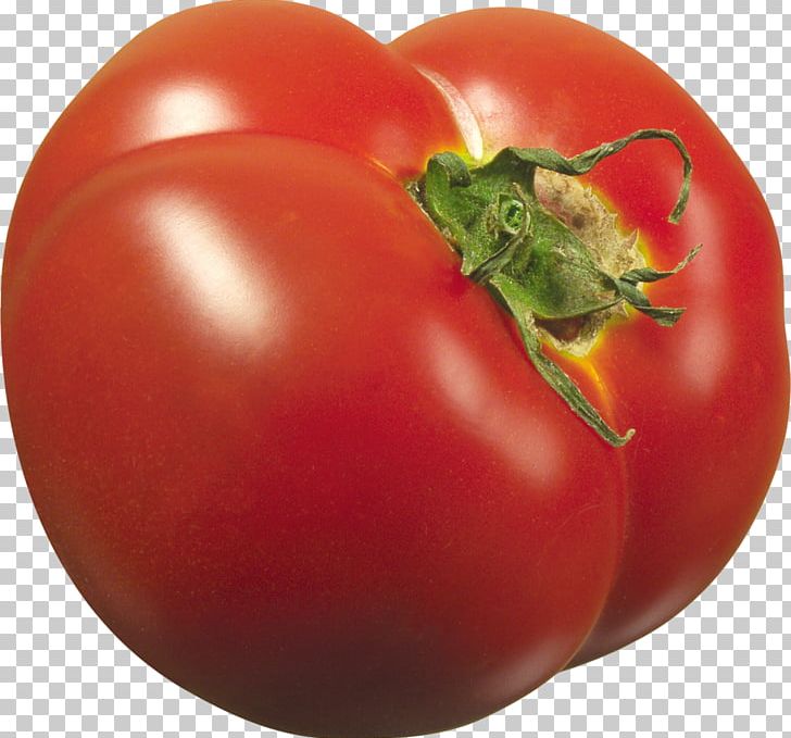 Plum Tomato Bush Tomato Cherry Tomato Vegetable Vegetarian Cuisine PNG, Clipart, Australian Desert Raisin, Bell Pepper, Cherry Tomato, Chili Pepper, Diet Food Free PNG Download
