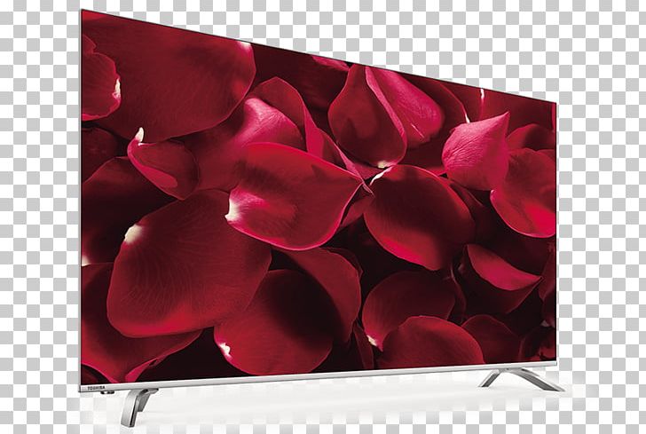 4K Resolution Ultra-high-definition Television Toshiba U6763DG Samsung KU6400 6 Series PNG, Clipart, 4k Resolution, Digital Television, Display Device, Display Resolution, Flower Free PNG Download