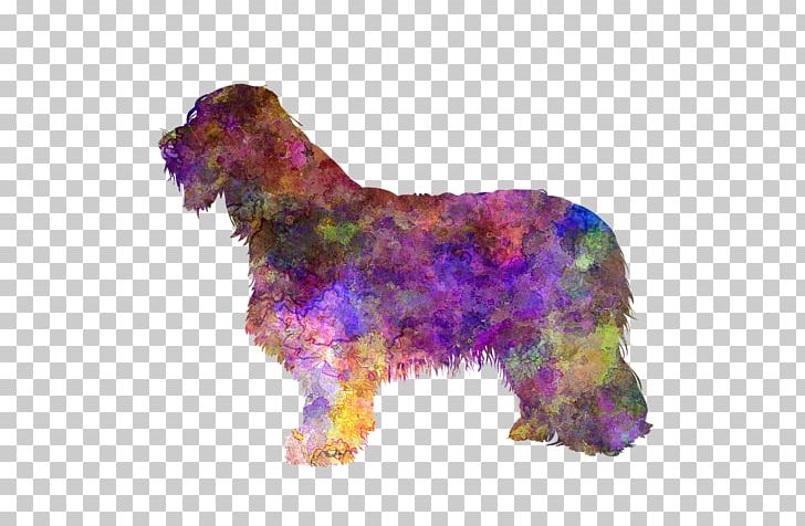 Bearded Collie Rough Collie Border Collie Old English Sheepdog Australian Shepherd PNG, Clipart, Bearded Collie, Border Collie, Carnivoran, Dog, Dog Breed Free PNG Download