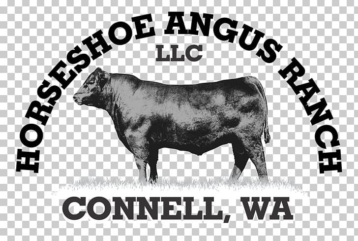 Bull Angus Cattle Hereford Cattle Beef Cattle Calf PNG, Clipart, Advertising, Angus, Angus Cattle, Animals, Beef Free PNG Download