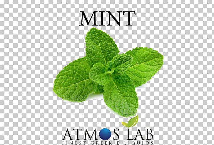Flavor Electronic Cigarette Aerosol And Liquid Organic Food Vietnamese Cuisine PNG, Clipart, Atmos, Atmos Energy, Business, Chief Executive, Electronic Cigarette Free PNG Download