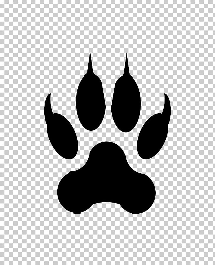 Lion Tiger Cougar Footprint Paw PNG, Clipart, Animals, Big Cat, Black, Black And White, Canis Free PNG Download