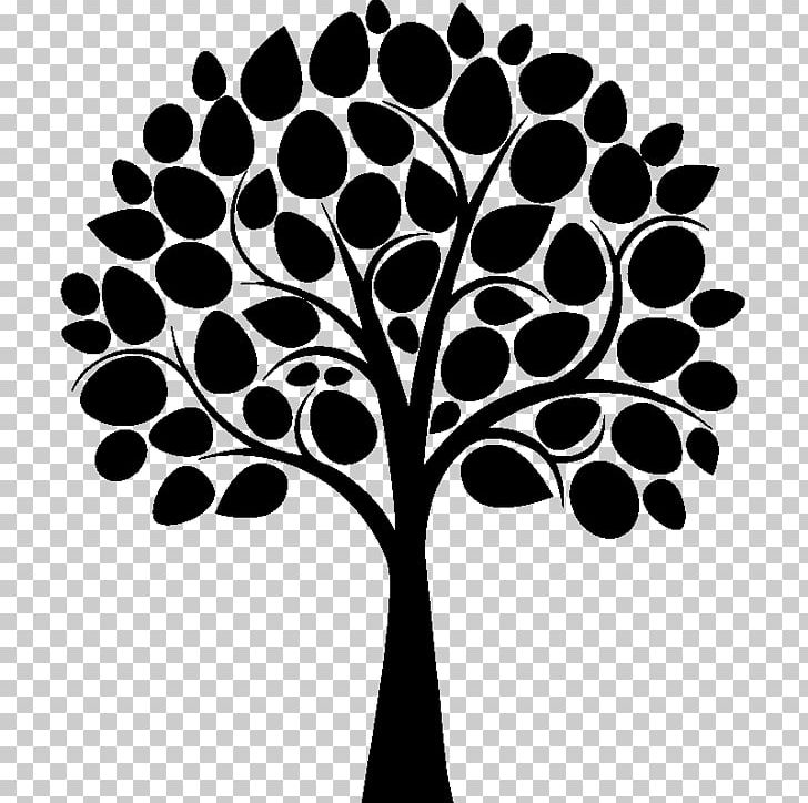 family tree clipart black and white