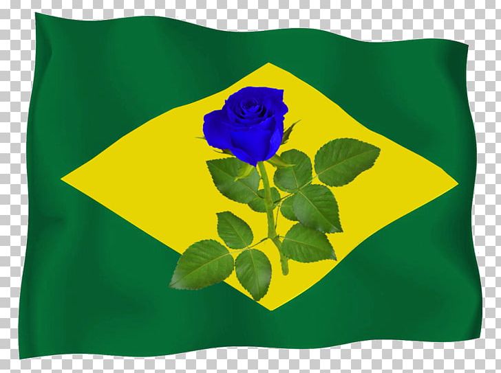 Document PNG, Clipart, Bandeira Do Brasil, Blog, Chomikujpl, Document, Flower Free PNG Download