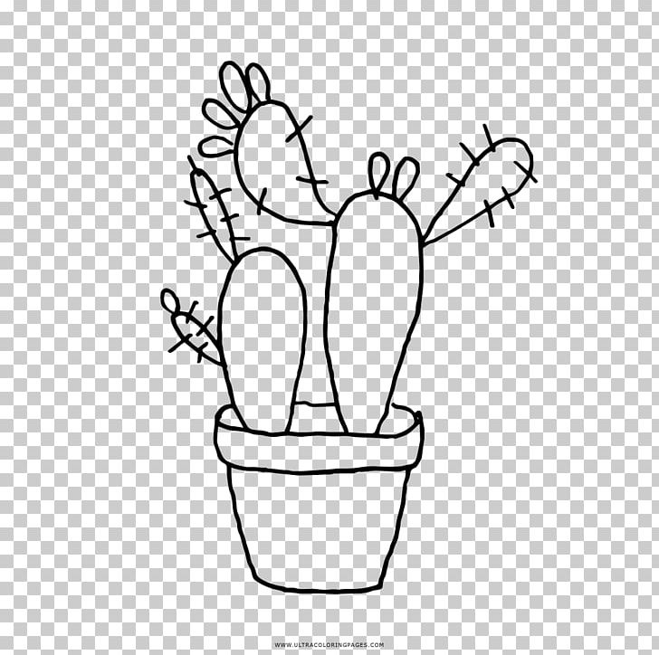 Drawing Black And White Cactaceae Coloring Book PNG, Clipart, Art, Astrophytum Asterias, Barbary Fig, Black, Black And White Free PNG Download