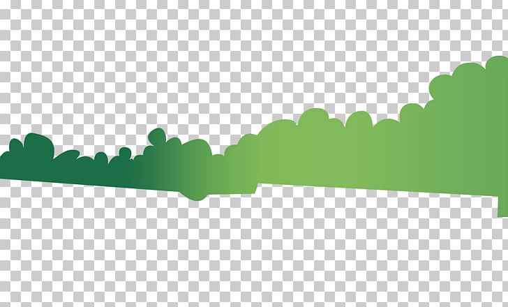 Green Line Angle PNG, Clipart, Angle, Art, Grass, Green, Leaf Free PNG Download