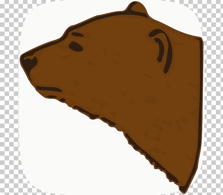 Brown Bear Polar Bear PNG, Clipart, American Black Bear, Animal, Animals, Bear, Bear Head Free PNG Download