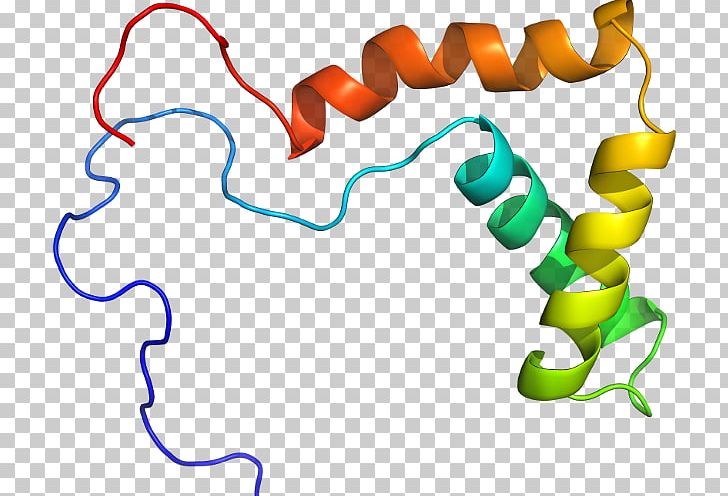 Protein Hemoglobin Organism PNG, Clipart, 1 D, Area, Artwork, Binding, Factor Free PNG Download