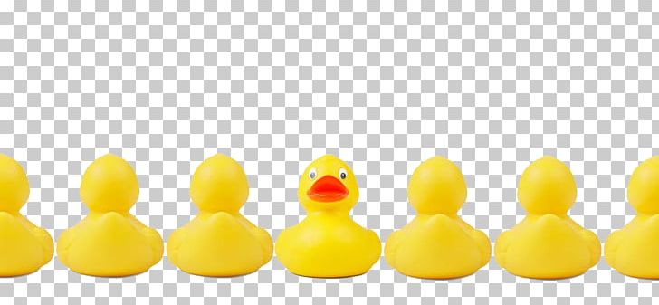 Duck Change Management Genetic Testing Business Process PNG, Clipart, Animals, Business Process, Cartoon Animals, Change Management, Duck Vector Free PNG Download