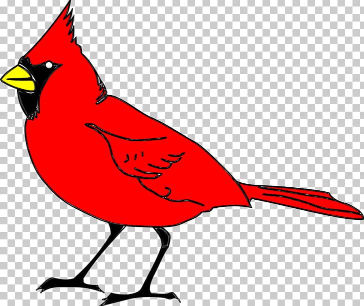Northern Cardinal St. Louis Cardinals PNG, Clipart, Artwork, Beak, Bird, Bird Clipart, Black And White Free PNG Download