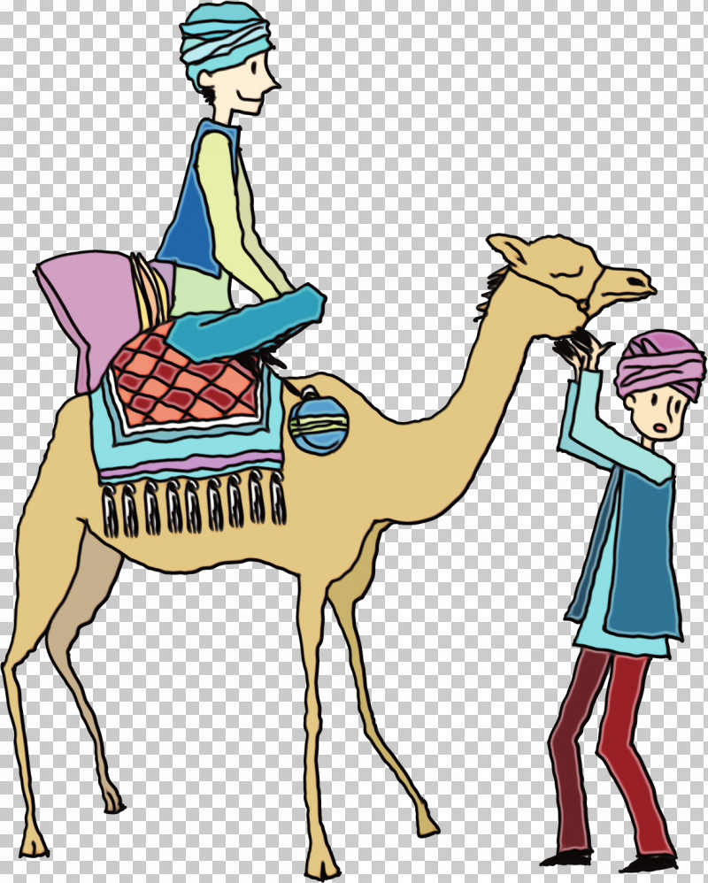 Dromedary Cartoon Livestock Behavior Human PNG, Clipart, Behavior, Biology, Camels, Cartoon, Dromedary Free PNG Download