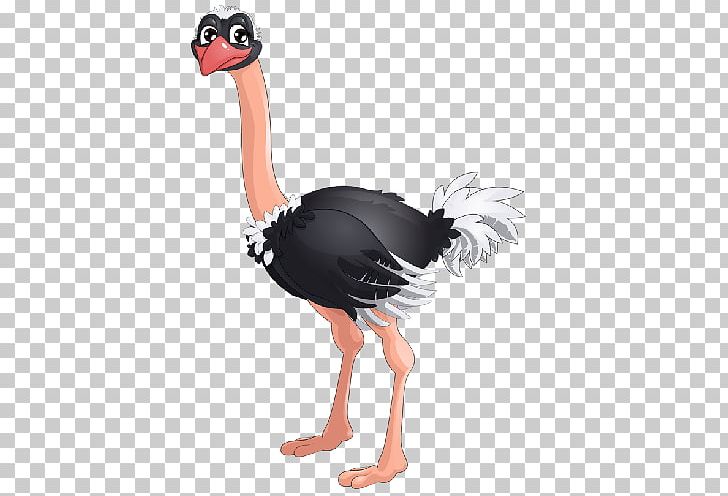 Common Ostrich Drawing PNG, Clipart, Beak, Bird, Cartoon, Common Ostrich, Drawing Free PNG Download