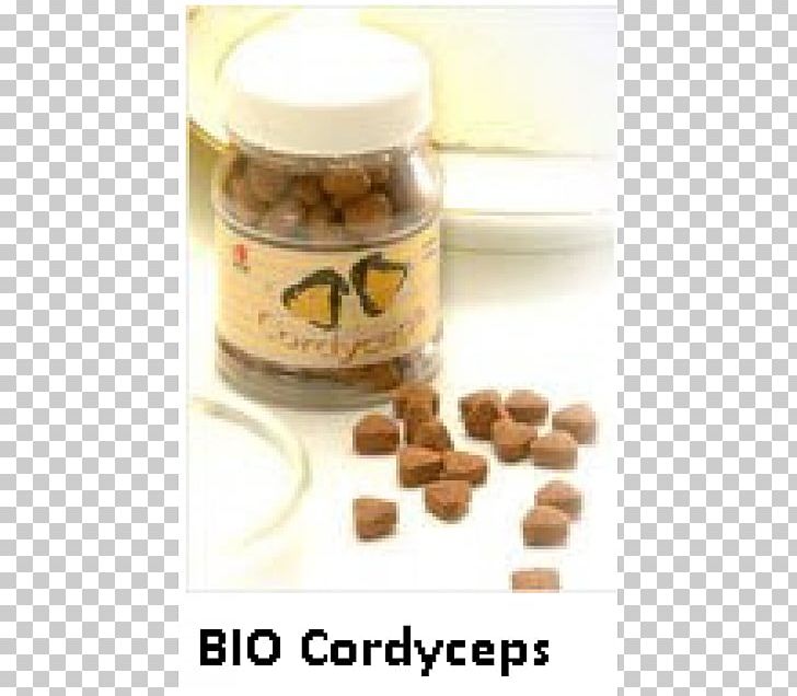 Cordyceps Health Therapy Spirulina Medicine PNG, Clipart, Caterpillar Fungus, Cordyceps, Cure, Dengue, Food Free PNG Download