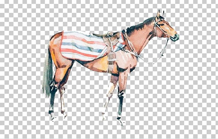 Horse Racing Cartoon PNG, Clipart, Animal, Animals, Cartoon, Cartoon Animals, Cartoon Character Free PNG Download