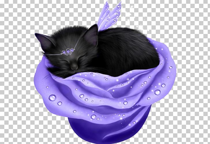 Purple Violet Color Lilac PNG, Clipart, Art, Black, Black Cat, Carnivoran, Cat Free PNG Download