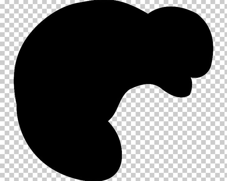 Beaver Silhouette PNG, Clipart, Animal, Animals, Beaver, Black, Black And White Free PNG Download