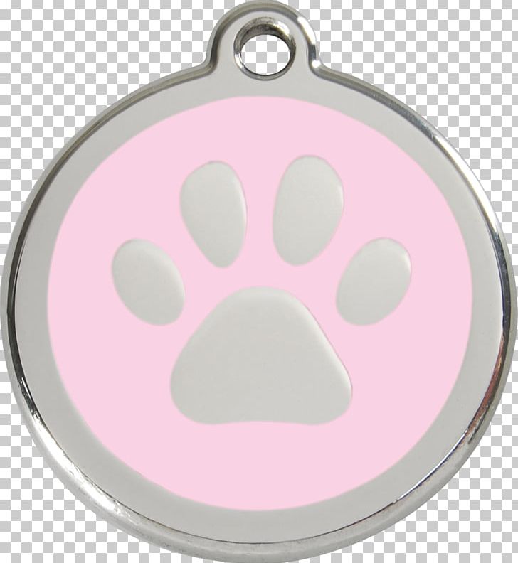 Dog Cat Dingo Pet Tag PNG, Clipart, Body Jewelry, Cat, Collar, Dingo, Dog Free PNG Download